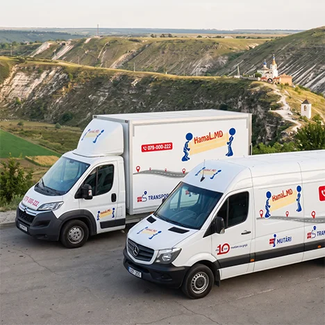 Camion și autoutilitară pregătite pe un drum panoramic pentru mutarea în alt oraș.